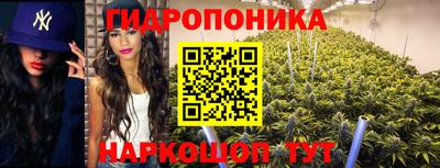 mdpv Новокубанск