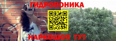 mdpv Новокубанск