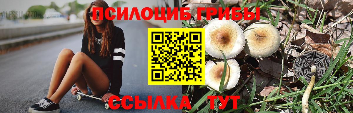 Каннабис  ГАШ  Усолье-Сибирское  Вейп ТГК  ГАШ  Мефедрон кристаллы  Вход с VPN 